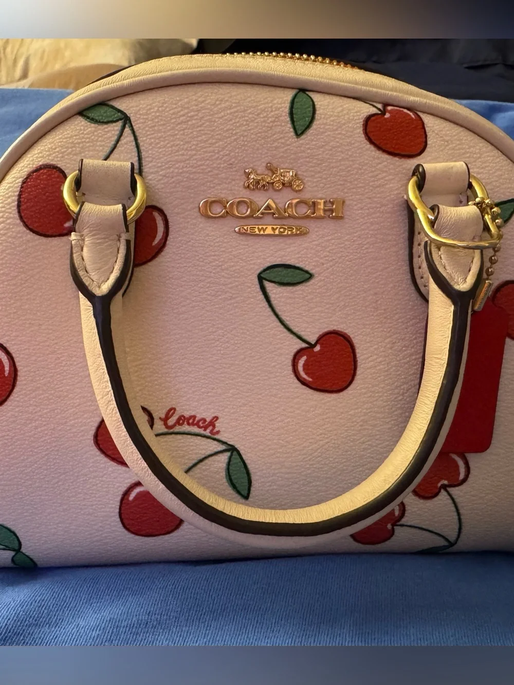 Authentic Coach Cherry Mini Rowan Satchel Crossbody-Rare & HTF